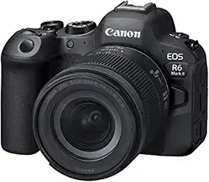 The R6 Mark II is a great camera for taking pictures of animals and birds.