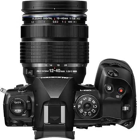 Lenses that work well with your OM-1