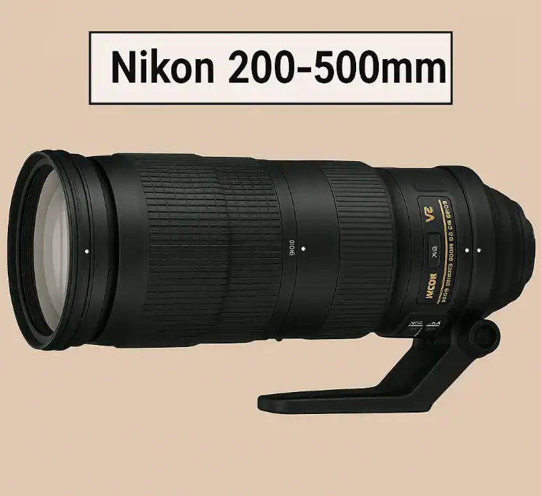 Nikon 200-500mm Review: Best Budget Super-Telephoto Lens 2025